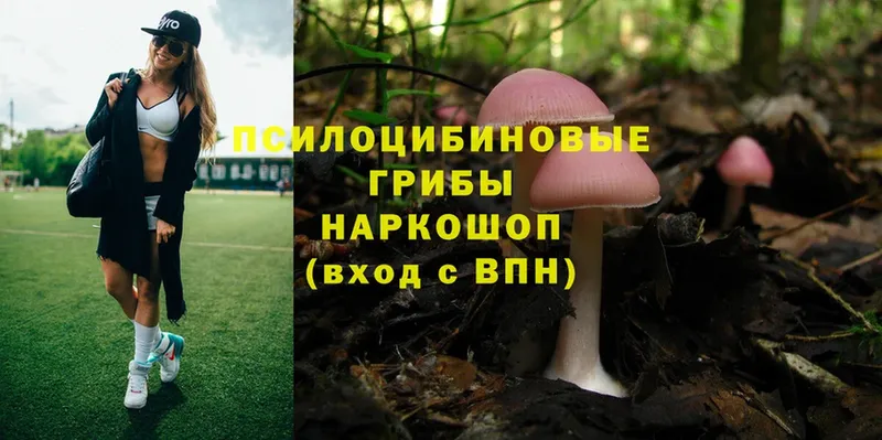 Псилоцибиновые грибы MAGIC MUSHROOMS  Богородицк 